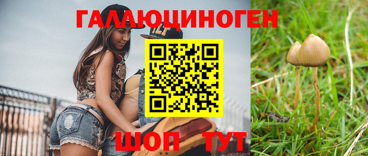 Галлюциногенные грибы Magic Shrooms Губкин