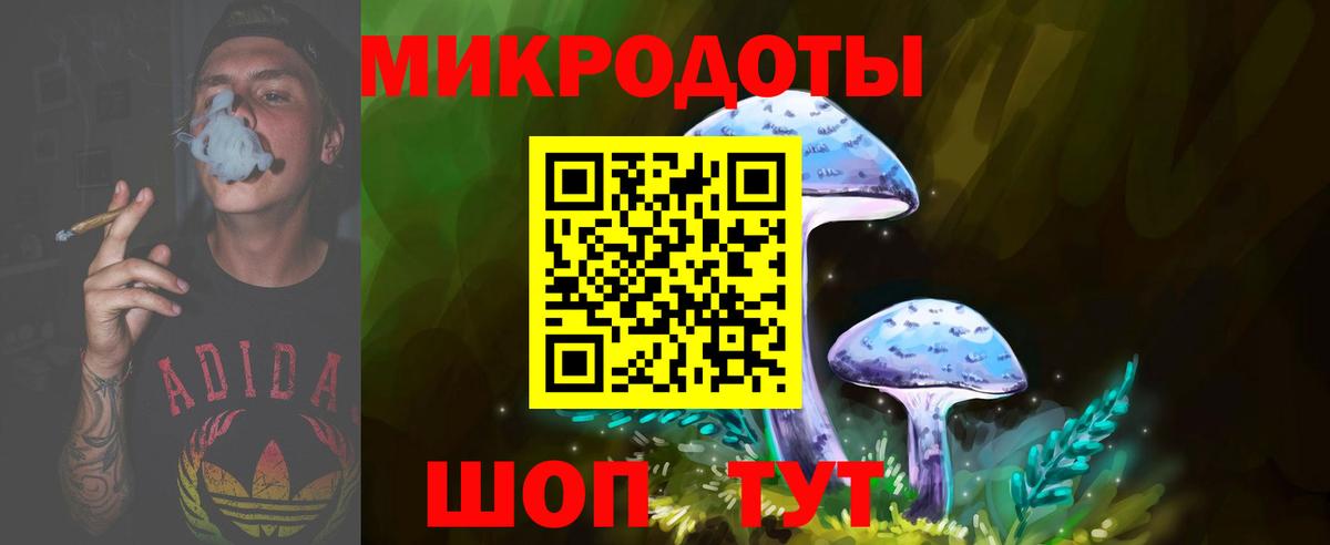 Губкин  Галлюциногенные грибы Psilocybe  Псилоцибиновые грибы MAGIC MUSHROOMS  Вход с VPN 